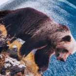 Tengerészkék hosszú ujjú gyerekpóló 128