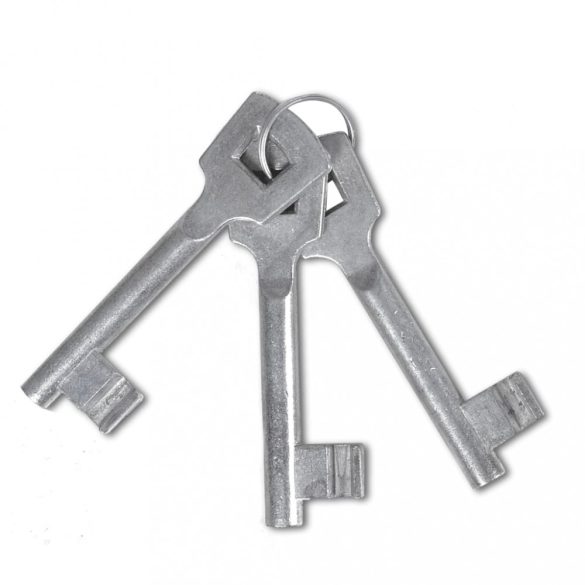 porszórt acél, egyszárnyú kerítéskapu 100 x 100 cm