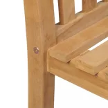 9 darabos tömör tíkfa kerti étkezőgarnitúra 200 x 100 cm