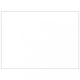 ezüstszínű acél kutyakennel 48 m²