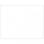 ezüstszínű acél kutyakennel 80 m²