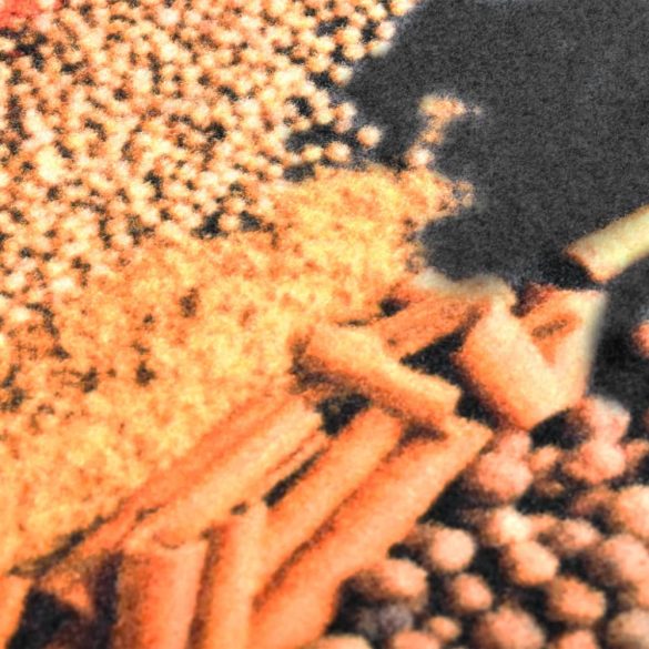 Spice" mosható konyhai szőnyeg 45 x 150 cm"