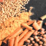 Spice" mosható konyhai szőnyeg 60 x 180 cm"