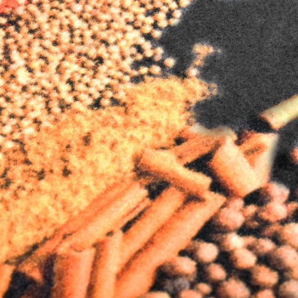 Spice" mosható konyhai szőnyeg 60 x 180 cm"