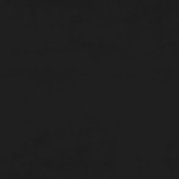 ágykeret matrac nélkül fekete 120x190 cm Velvet