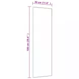 arany üveg és alumínium ajtótükör 30x100 cm