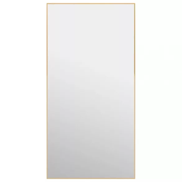 arany üveg és alumínium ajtótükör 50x100 cm