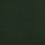 sötétzöld bársony pihenőszék lábtartóval