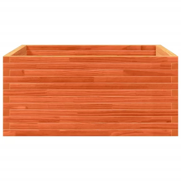 viaszbarna tömör fenyőfa kerti virágláda 100 x 100 x 46 cm