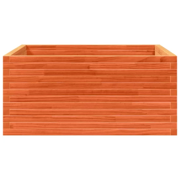 viaszbarna tömör fenyőfa kerti virágláda 100 x 100 x 46 cm