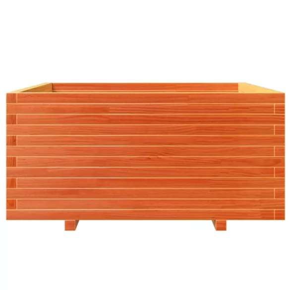 viaszbarna tömör fenyőfa kerti virágláda 100 x 100 x 49,5 cm
