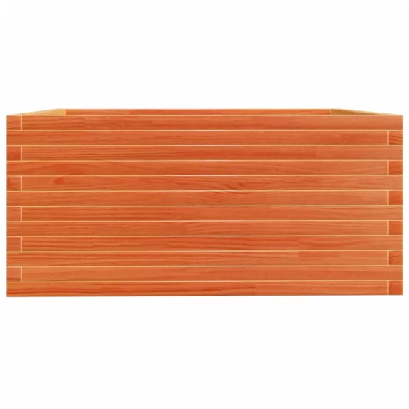 viaszbarna tömör fenyőfa kerti virágláda 100 x 100 x 49,5 cm