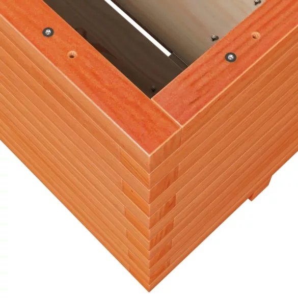 viaszbarna tömör fenyőfa kerti virágláda 100 x 100 x 49,5 cm