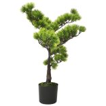 zöld cserepes mű fenyőbonsai 60 cm