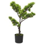zöld cserepes mű fenyőbonsai 60 cm