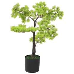 zöld cserepes mű ciprusbonsai 60 cm