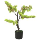 zöld cserepes mű ciprusbonsai 60 cm
