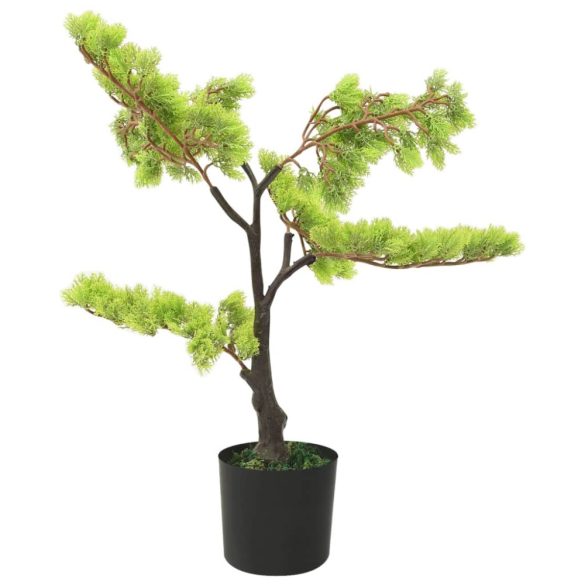 zöld cserepes mű ciprusbonsai 60 cm