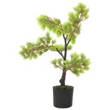zöld cserepes mű ciprusbonsai 60 cm