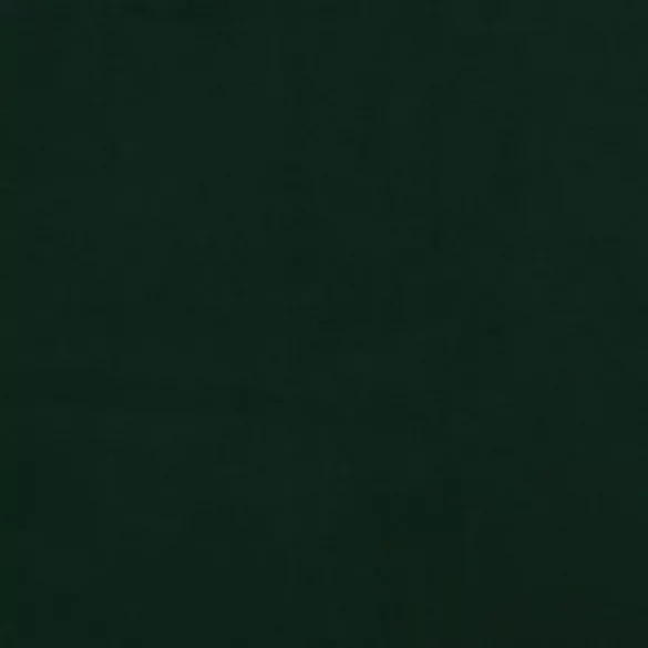 2 db sötétzöld bársony díszpárna Ø15x50 cm