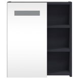 szürke tükrös fürdőszobaszekrény LED-del 45 x 13 x 52 cm