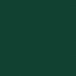 zöld kerti fészer meghosszabbított tetővel 277x107x181 cm