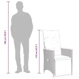 szürke polyrattan dönthető kerti szék párnákkal