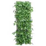 5 db zöld bővíthető műborostyánrács 180 x 65 cm