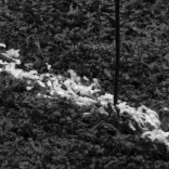 PAMPLONA fekete és krém bolyhos modern szőnyeg 200 x 280 cm