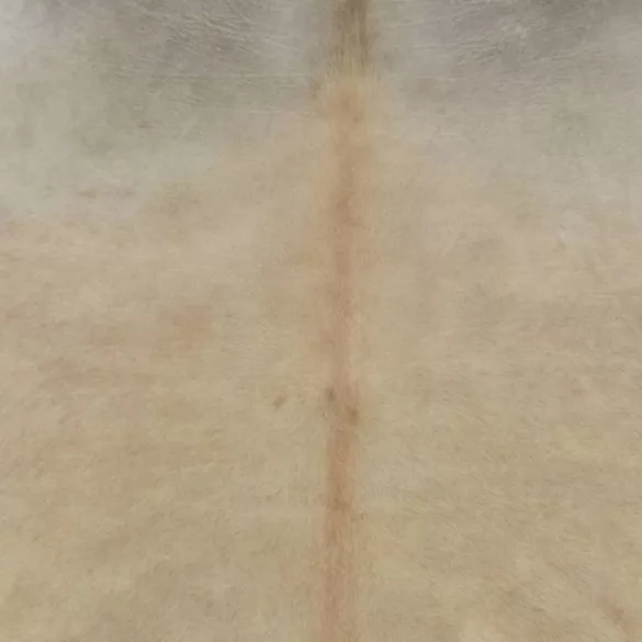 bézs valódi marhabőr szőnyeg 180 x 220 cm
