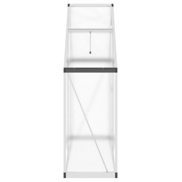 ezüstszínű alumínium melegház alapvázzal 169 x 58 x 195 cm