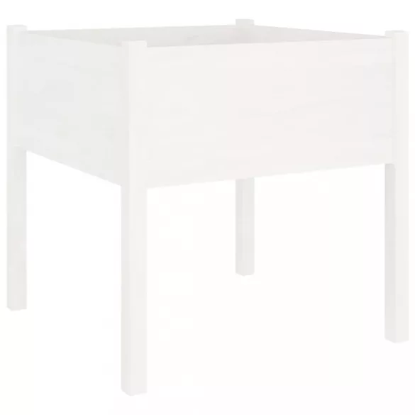 fehér tömör fenyő virágláda 70x70x70 cm