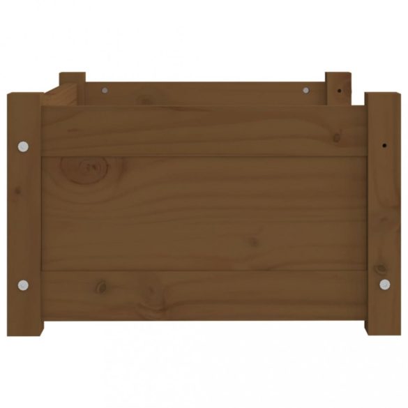 mézbarna tömör fenyőfa kutyaágy 55,5 x 45,5 x 28 cm