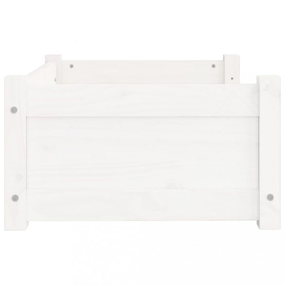 fehér tömör fenyőfa kutyafekhely 65,5 x 50,5 x 28 cm