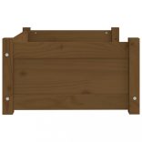 mézbarna tömör fenyőfa kutyaágy 65,5x50,5x28 cm