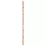 tömör fenyőfa fali fejtámla 146 x 3 x 91,5 cm