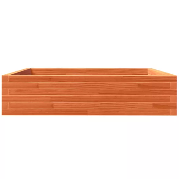 viaszbarna tömör fenyőfa kerti virágláda 100 x 100 x 23 cm