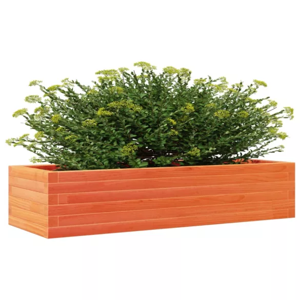 viaszbarna tömör fenyőfa kerti virágláda 110x40x23 cm