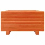 viaszbarna tömör fenyőfa kerti virágláda 50x50x26,5 cm