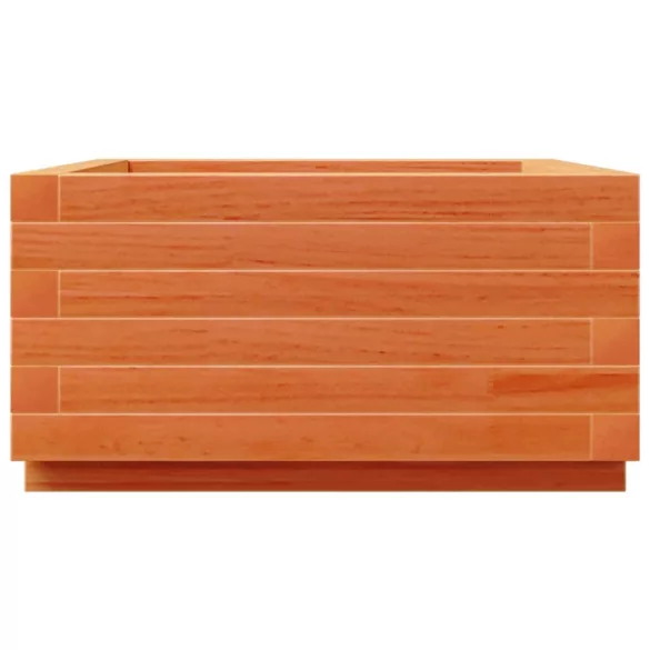 viaszbarna tömör fenyőfa kerti virágláda 50x50x26,5 cm