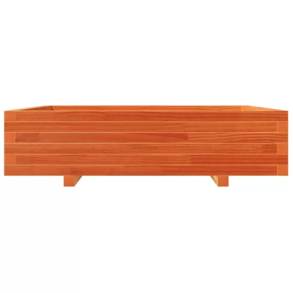 viaszbarna tömör fenyőfa kerti virágláda 100 x 100 x 26,5 cm